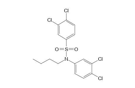 N-BUTYL-3,3',4,4'-TETRACHLOROBENZENESULFONALIDE