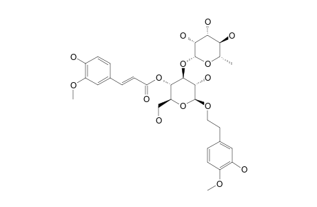 #10;MARTYNOSIDE;2-(3-HYDROXY-4-METHOXYPHENYL)-ETHYL-O-(ALPHA-L-RHAMNOSYL)-(1->3)-4-O-(E)-FERULOYL-BETA-D-GLUCOPYRANOSIDE