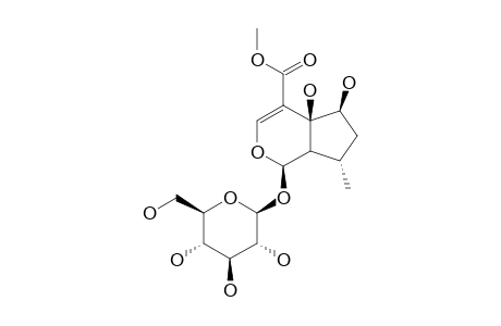 PENSTEMOSIDE