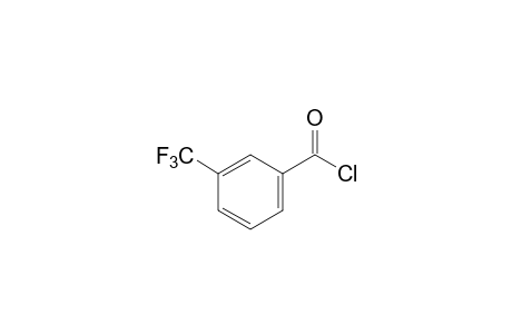 alpha,alpha,alpha-TRIFLUORO-m-TOLUOYL CHLORIDE