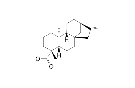 KAURENOIC-ACID