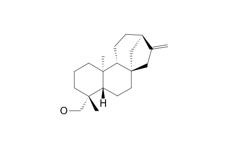 ENT-KAUR-16-EN-19-OL