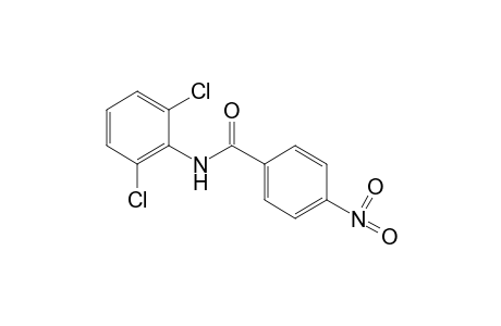 2',6'-dichloro-4-nitrobenzanilide