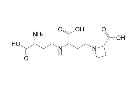 2(S),3'(S),3'(S)-N-(N-[3-Amino-3-carboxy-propyl]-3-amino-3-carboxy-propyl)-azetidine-2-carboxylic acid