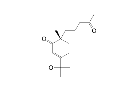 CHABROLIDIONE-B