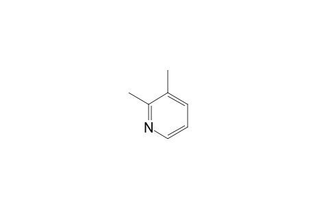 2,3-Lutidine