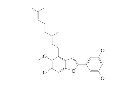 MULBERROFURAN-Y