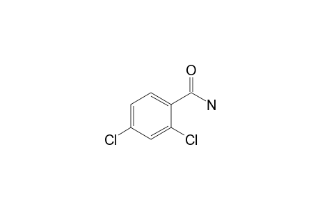 2,4-Dichlorobenzamide