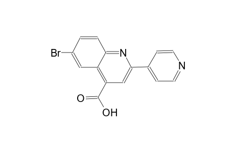 6-bromo-2-(4-pyridyl)cinchoninic acid