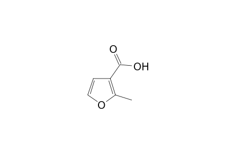 2-Methyl-3-furoic acid