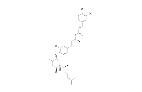 TERPECURCUMIN_B