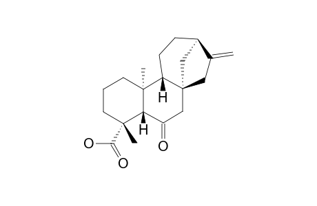 ENT-6-OXO-KAUR-16-EN-19-OIC-ACID