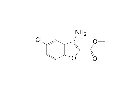 3-Amino-5-chloro-benzofuran-2-carboxylic acid methyl ester