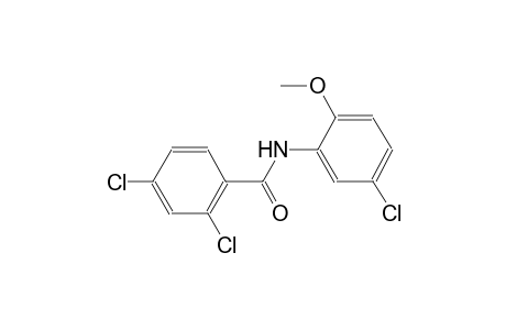 2,4-dichloro-N-(5-chloro-2-methoxyphenyl)benzamide