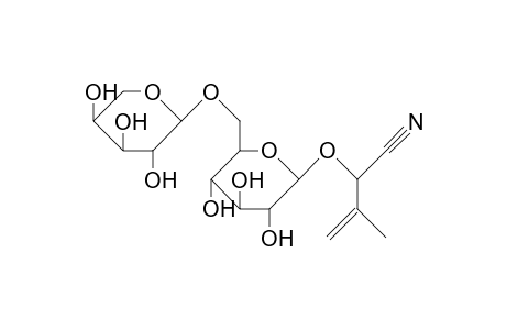 Proacaciberin