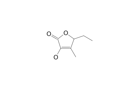 5-ethyl-3-hydroxy-4-methyl-5H-furan-2-one