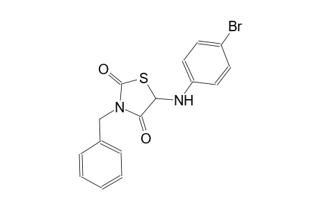 2,4-thiazolidinedione, 5-[(4-bromophenyl)amino]-3-(phenylmethyl)-