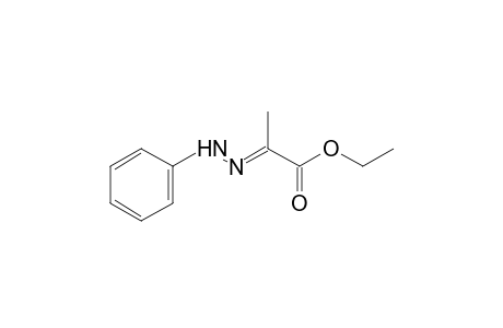 pyruvic acid, phenylhydrazone, ethyl ester