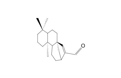 ENT-KAUR-15-EN-17-AL