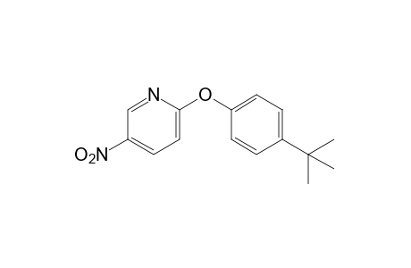 2-(p-tert-BUTYLPHENOXY)-5-NITROPYRIDINE