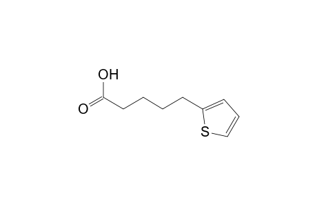 5-(2-Thienyl)pentanoic acid