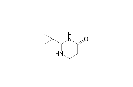 2-tert-Butyl-1,3-diazinan-4-one