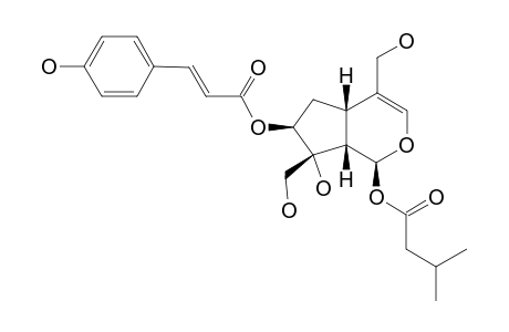 LUZONOID-A