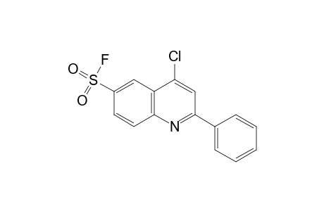 4-chloro-2-phenyl-6-quinolinesulfonyl fluoride