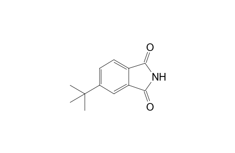 5-tert-Butyl-1H-isoindole-1,3(2H)-dione