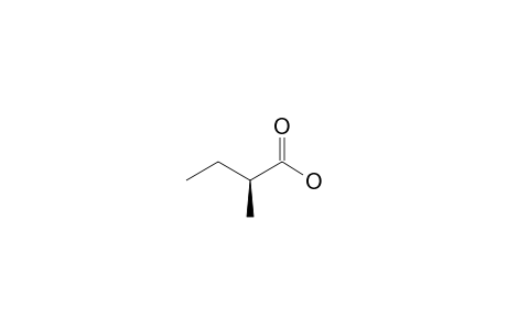 (S)-(+)-2-Methylbutyric acid