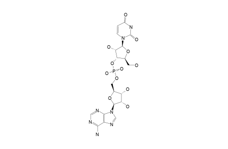 (R-P)-[17-O,18-O]-URIDYLYL-3'->5'-ADENOSINE