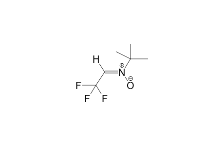 ALPHA-TRIFLUOROMETHYL-N-TERT-BUTYLNITRONE