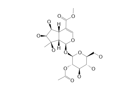 PHLORIGIDOSIDE-A