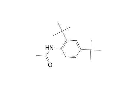 2',4'-DI-tert-BUTYLACETANILIDE