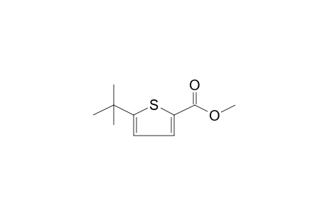 METHYL 5-tert-BUTYLTHIOPHENE-2-CABOXAMIDE