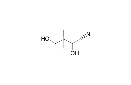 2,4-Dihydroxy-3,3-dimethyl-butanenitrile