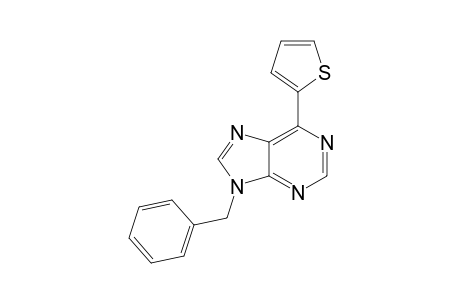 9-(Phenylmethyl)-6-thiophen-2-yl-purine