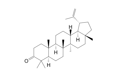 LUPENON