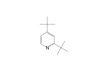 2,4-DI-tert-BUTYLPYRIDINE