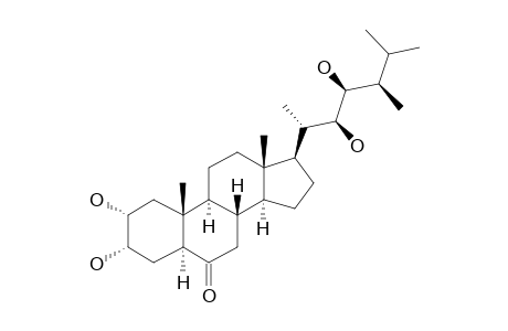 CASTASTERONE