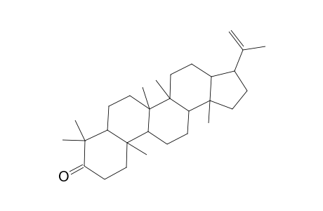 A'-Neogammacer-22(29)-en-3-one