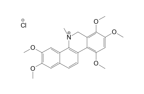 SANGUILUTINE-CHLORIDE