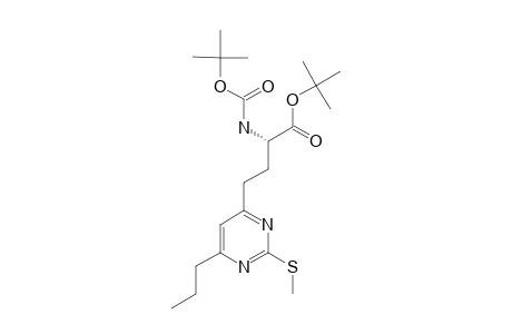 (S)-ALPHA-TERT.-BUTOXYCARBONYLAMINO-GAMMA-(2-METHYLTHIO-6-PROPYLPYRIMIDIN-4-YL)-BUTYRIC-ACID-ALPHA-TERT.-BUTYLESTER