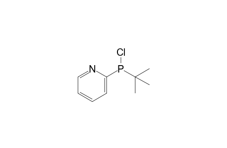 2-(tert-butylchlorophosphanyl)pyridine