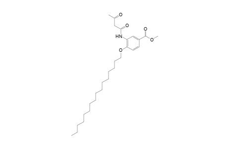 3-acetoacetamido-4-(hexadecyloxy)benzoic acid, methyl ester