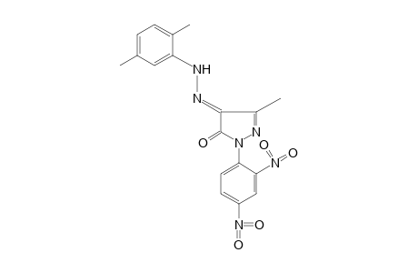 1-(2,4-DINITROPHENYL)-3-METHYLPYRAZOLE-4,5-DIONE, 4-(2,5-XYLYLHYDRAZONE)