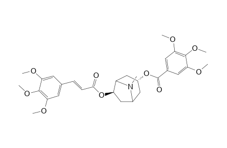 Pervilleine B