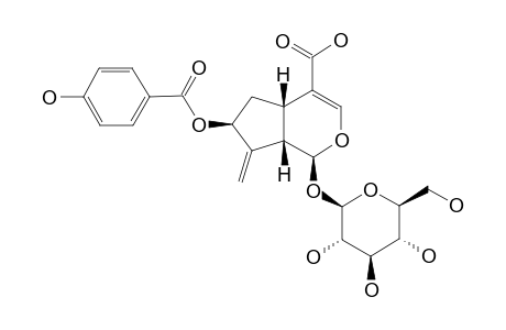 7-O-PARA-HYDROXYBENZOYL-GARDOSIDE