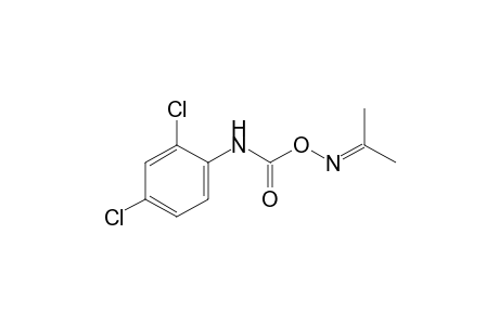 acetone, O-[(2,4-dichlorophenyl)carbamoyl]oxime