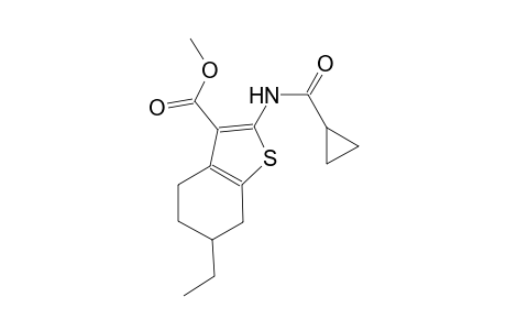 methyl 2-[(cyclopropylcarbonyl)amino]-6-ethyl-4,5,6,7-tetrahydro-1-benzothiophene-3-carboxylate